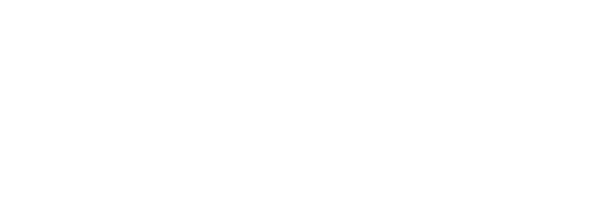 logopolitique